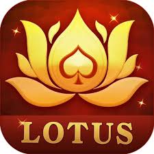 rummy dhon download